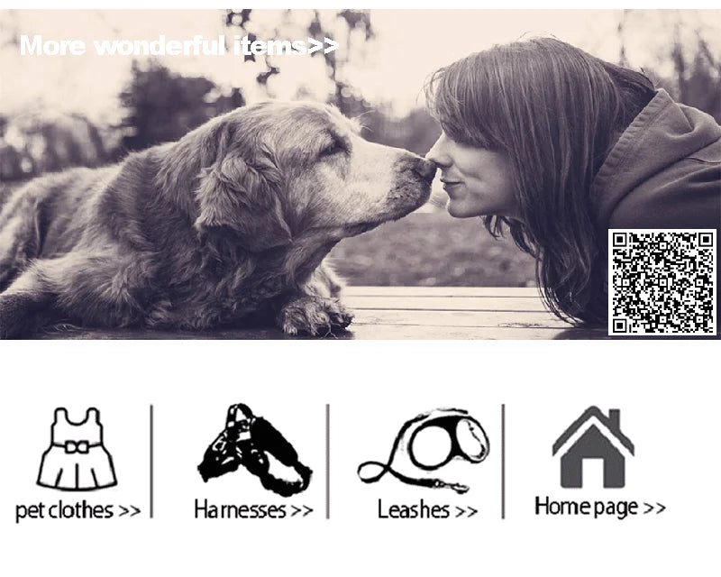 🐾 Waterproof Dog Raincoat – Hunde-Regenmantel „The Dog Face“ | Wasserfester Overall für kleine & mittelgroße Hunde