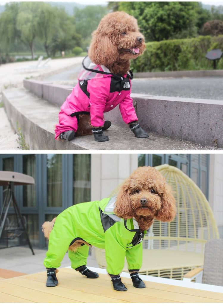 🐾 Waterproof Dog Raincoat – Hunde-Regenmantel „The Dog Face“ | Wasserfester Overall für kleine & mittelgroße Hunde
