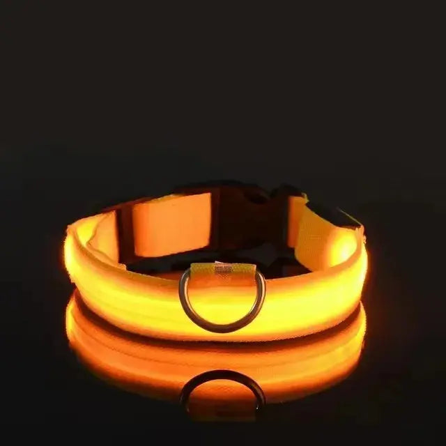 LED Hundehalsband & Leine – Leuchtendes Nylon Sicherheitsband | Glow-in-the-Dark Halsband für Hunde – Sichtbarkeit bei Nacht PawPaw