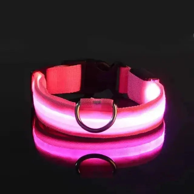 LED Hundehalsband & Leine – Leuchtendes Nylon Sicherheitsband | Glow-in-the-Dark Halsband für Hunde – Sichtbarkeit bei Nacht PawPaw