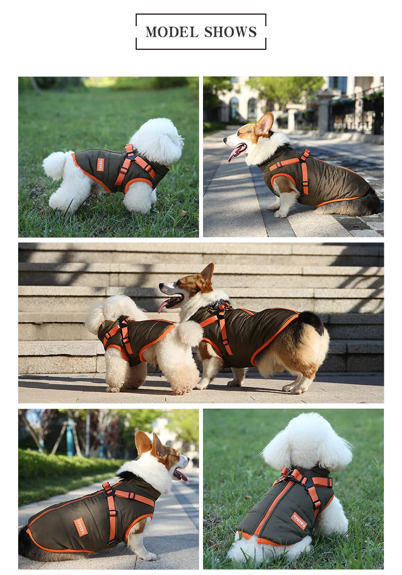 🐾 Waterproof Winter Puppy Jacket – Warme Hundejacke mit integriertem Geschirr | Für kleine Hunde wie Chihuahua, Yorkie & French Bulldog