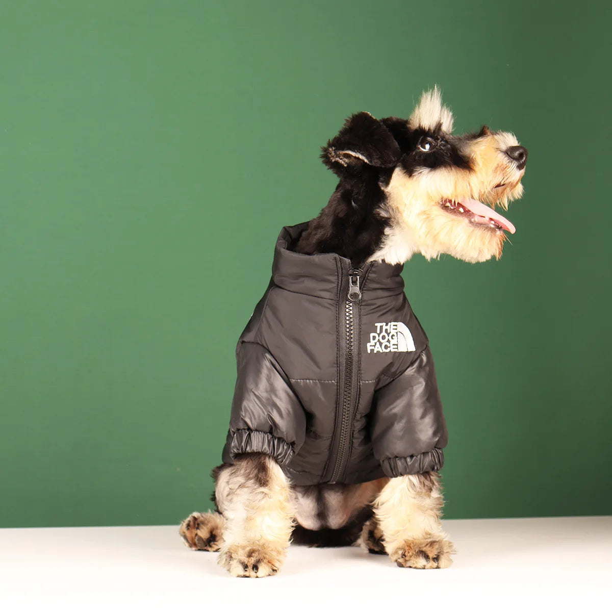 🐾 Winter Dog Jacket – Warme & Winddichte Hundejacke für kleine & mittelgroße Hunde | Reflektierende Wintermantel für French Bulldog, Chihuahua & Co.