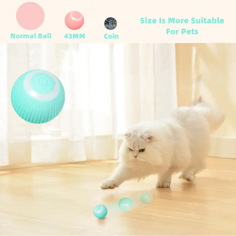 Elektrischer Katzenball – Automatisch rollendes Smart-Spielzeug | Interaktiver selbstbewegender Ball für Katzen & Kitten | Training & Indoor-Beschäftigung PawPaw