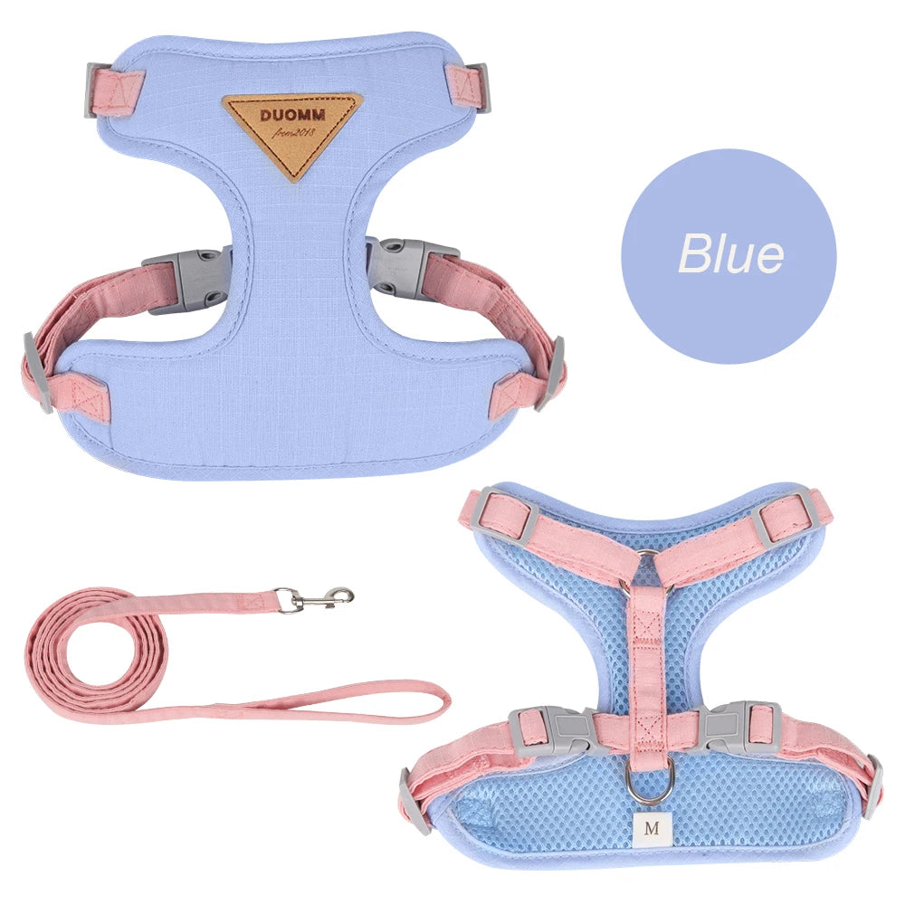 🐾 Pet Harness & Leash Set – Atmungsaktives Geschirr für Katzen & kleine Hunde | Komfortables Outdoor-Set für Kitten & Welpen