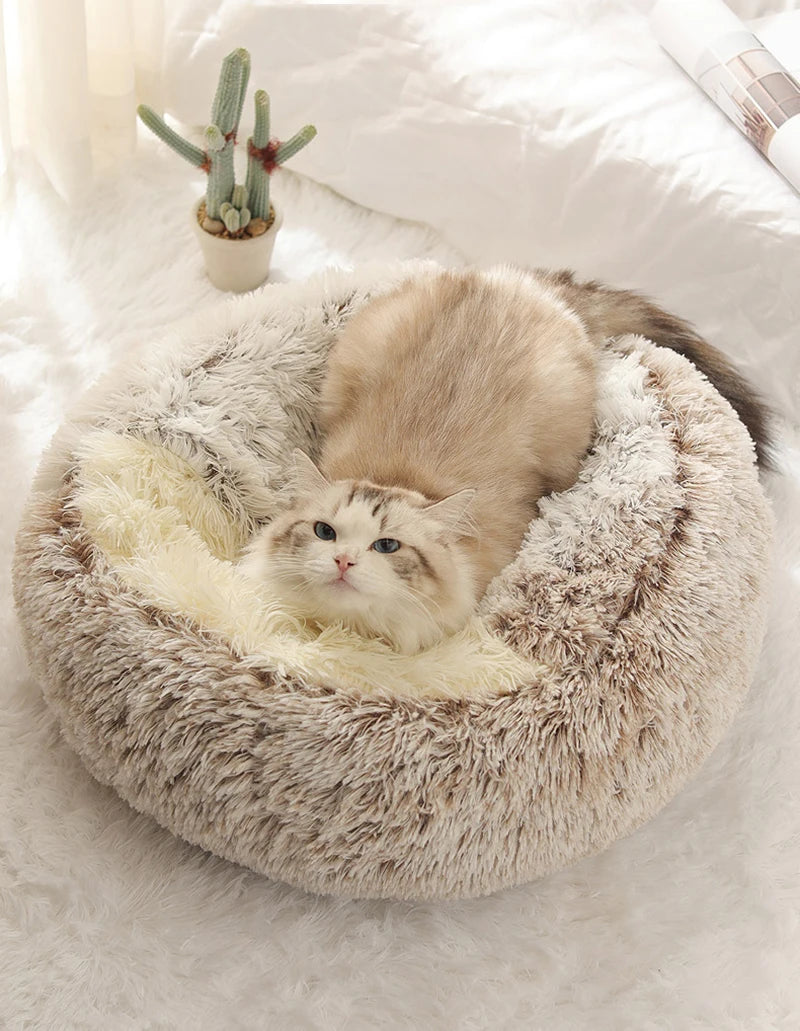 🐾 Soft Plush Cat Bed – Warme runde Katzenhöhle mit Deckel | 2-in-1 Nest für Katzen & kleine Hunde