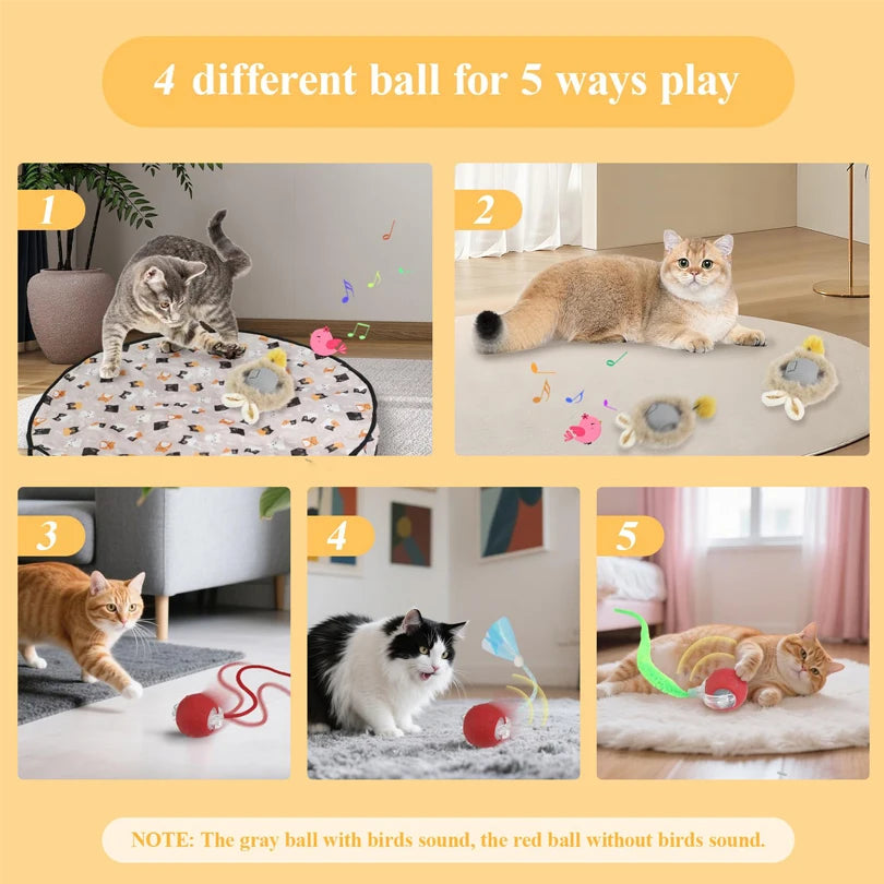 🐾 Interactive Motion Cat Toy Ball – Schnell rollender Hide-and-Seek Spielball für Wohnungskatzen | Bewegungsaktiviert & im Beutel versteckt