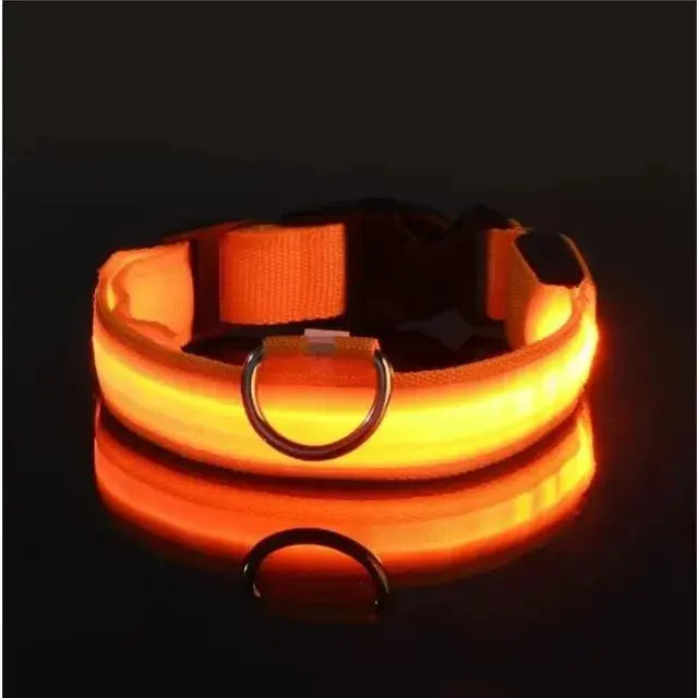 LED Hundehalsband & Leine – Leuchtendes Nylon Sicherheitsband | Glow-in-the-Dark Halsband für Hunde – Sichtbarkeit bei Nacht PawPaw