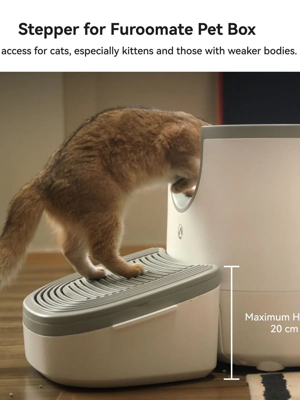 🐾 Self-Cleaning Cat Litter Box – Offene XXL Katzentoilette mit automatischer Reinigung & Sicherheits-Sensoren | Für Mehrkatzen-Haushalte