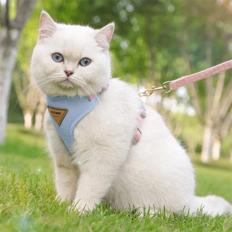 🐾 Pet Harness & Leash Set – Atmungsaktives Geschirr für Katzen & kleine Hunde | Komfortables Outdoor-Set für Kitten & Welpen