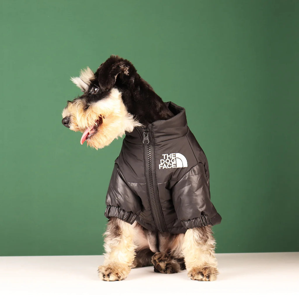🐾 Winter Dog Jacket – Warme & Winddichte Hundejacke für kleine & mittelgroße Hunde | Reflektierende Wintermantel für French Bulldog, Chihuahua & Co.