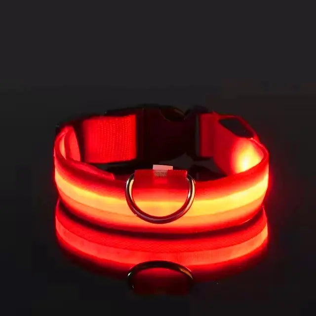 LED Hundehalsband & Leine – Leuchtendes Nylon Sicherheitsband | Glow-in-the-Dark Halsband für Hunde – Sichtbarkeit bei Nacht PawPaw