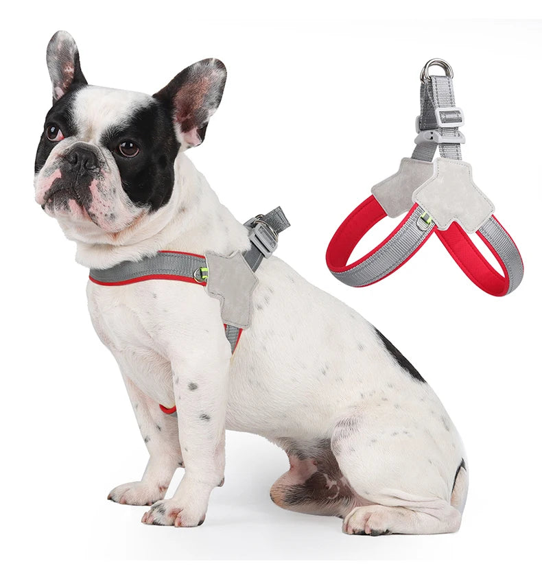 🐾 Reflective No-Pull Dog Harness – Bequemer Brustgurt für kleine & mittelgroße Hunde | Sicheres, rutschfestes Geschirr für Pug, Chihuahua & Co.
