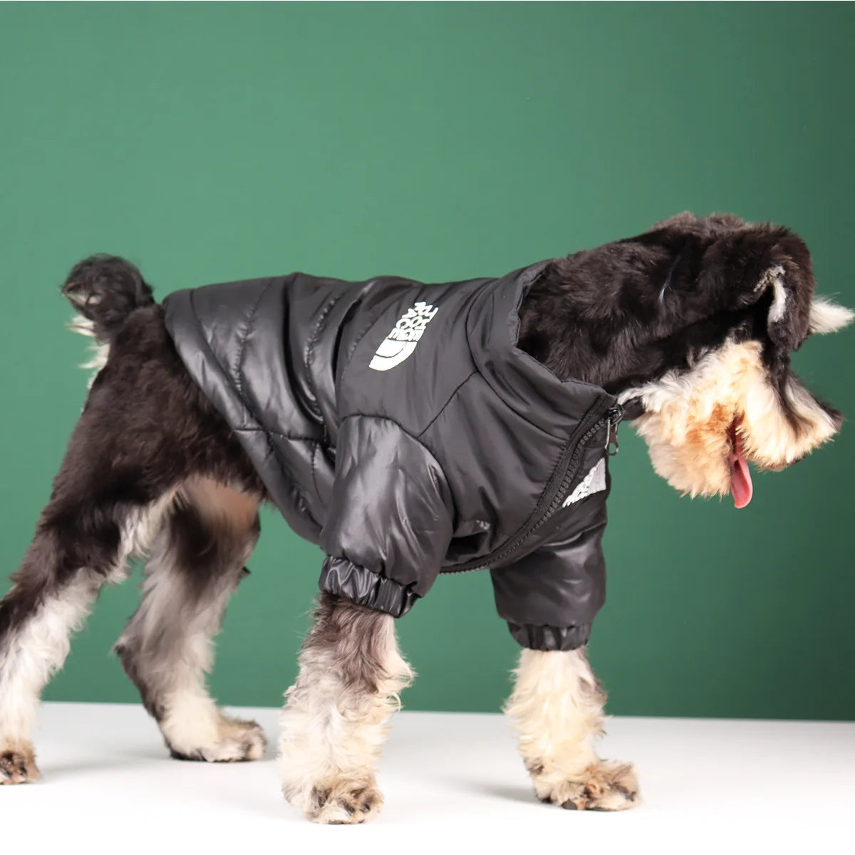 🐾 Winter Dog Jacket – Warme & Winddichte Hundejacke für kleine & mittelgroße Hunde | Reflektierende Wintermantel für French Bulldog, Chihuahua & Co.