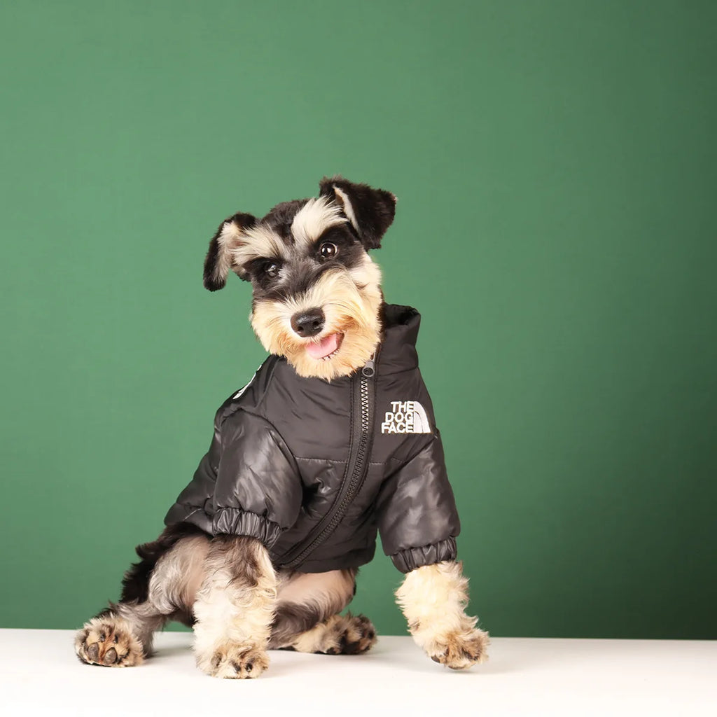🐾 Winter Dog Jacket – Warme & Winddichte Hundejacke für kleine & mittelgroße Hunde | Reflektierende Wintermantel für French Bulldog, Chihuahua & Co.
