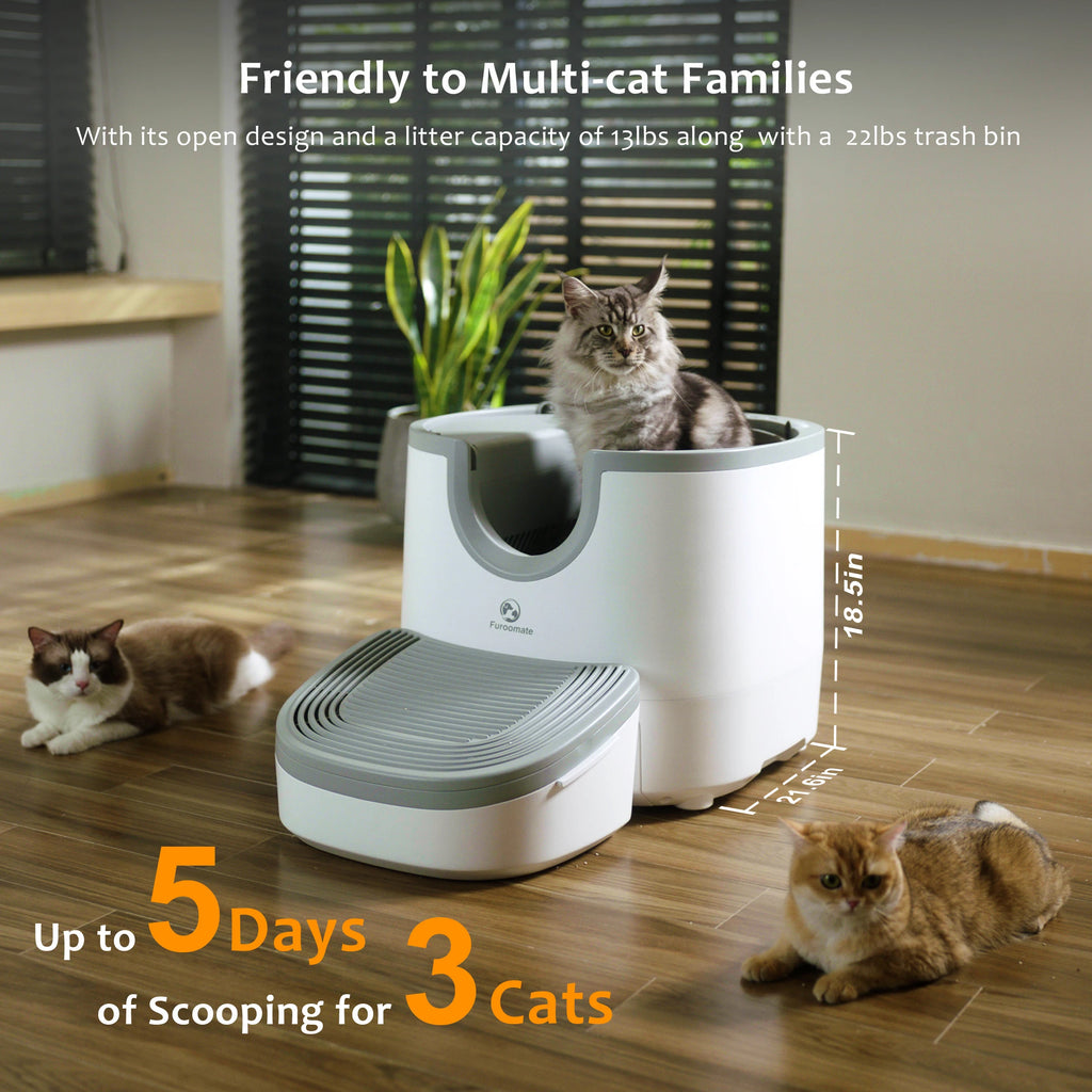 🐾 Self-Cleaning Cat Litter Box – Offene XXL Katzentoilette mit automatischer Reinigung & Sicherheits-Sensoren | Für Mehrkatzen-Haushalte