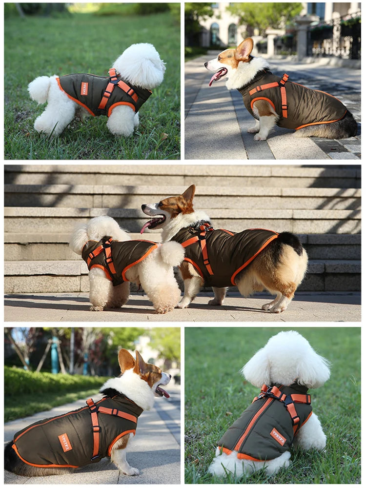 🐾 Waterproof Winter Puppy Jacket – Warme Hundejacke mit integriertem Geschirr | Für kleine Hunde wie Chihuahua, Yorkie & French Bulldog