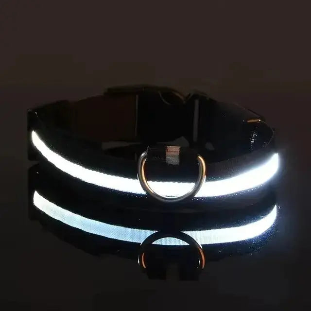 LED Hundehalsband & Leine – Leuchtendes Nylon Sicherheitsband | Glow-in-the-Dark Halsband für Hunde – Sichtbarkeit bei Nacht PawPaw