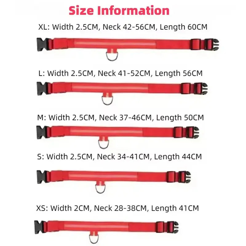 LED Hundehalsband & Leine – Leuchtendes Nylon Sicherheitsband | Glow-in-the-Dark Halsband für Hunde – Sichtbarkeit bei Nacht PawPaw