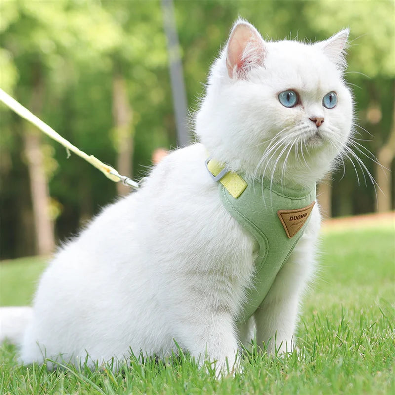 🐾 Pet Harness & Leash Set – Atmungsaktives Geschirr für Katzen & kleine Hunde | Komfortables Outdoor-Set für Kitten & Welpen