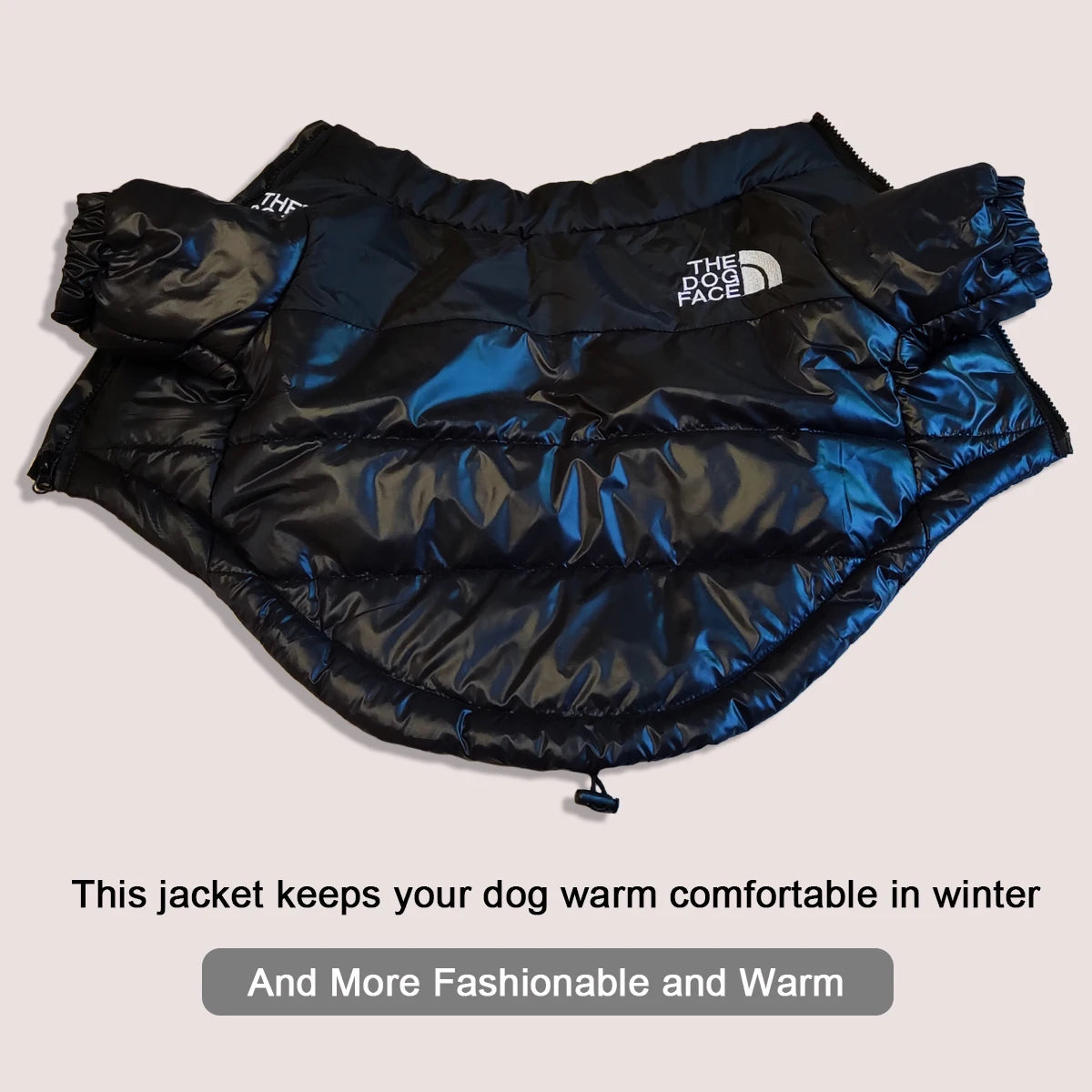 🐾 Winter Dog Jacket – Warme & Winddichte Hundejacke für kleine & mittelgroße Hunde | Reflektierende Wintermantel für French Bulldog, Chihuahua & Co.