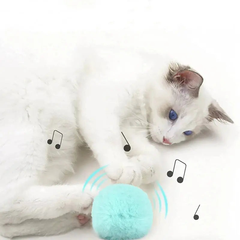 Interaktiver Katzenball mit Sound & Katzenminze – Elektrisches Plüsch-Spielzeug für Katzen | Smart Pet Toy für Kitten & Erwachsene Katzen PawPaw